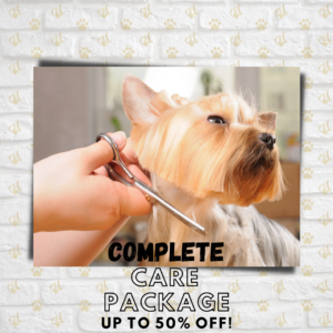 pet grooming juhu