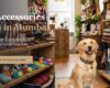 Pet Accessories Shop in Mumbai - Haute Dog Juhu Boutique Banner